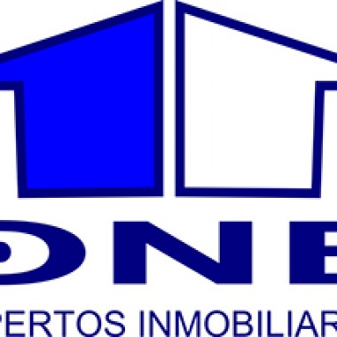 Imatge del projecte 2000–2003 ONE